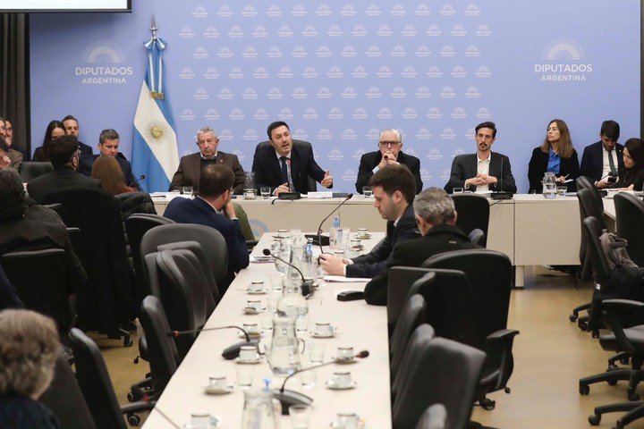 Luis Petri en la comisión de Defensa de Diputados.