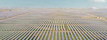 China cubrió un desierto con paneles solares y confirmó que puede cambiar el ecosistema para siempre 