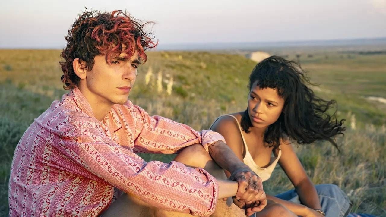 Timothée Chalamet y Taylor Russell