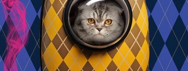 "El gato era un inútil y lo despedí". Matthew Vaughn explica por qué acabó utilizando en 'Argylle' a la mascota de su hija