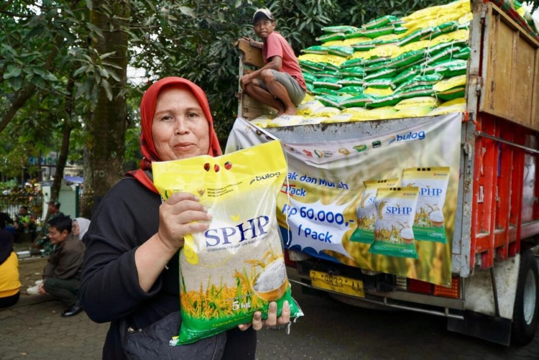 SPHP comienza masivamente, impactando el precio del grano y el declive de arroz natural