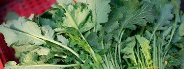 Solo se la comen los gallegos, pero es una verdura que le da mil vueltas a las espinacas y acelgas (y está en temporada)