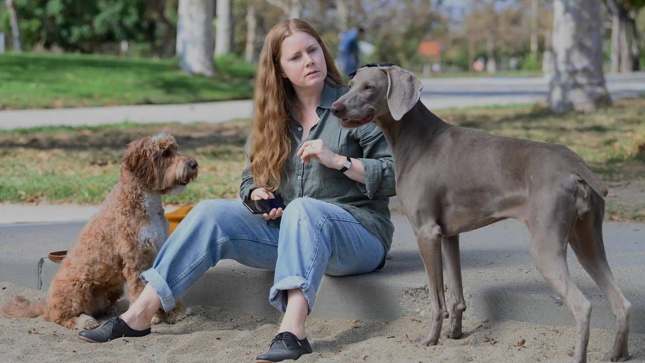 Amy Adams en 'Canina' 
